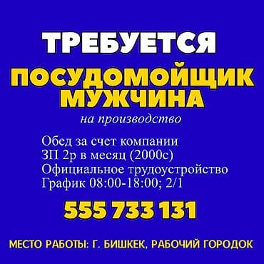 Бармены: Требуется Посудомойщик, Оплата: Дважды в месяц — 1