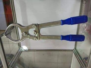 где можно купить молодых кур несушек: Щипцы для кастрации баранов бескровной — 1