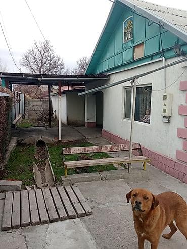 Ашкана буюмдары: Дом с двором и капитальным забором из профлиста - Отдельно стоящий — 5