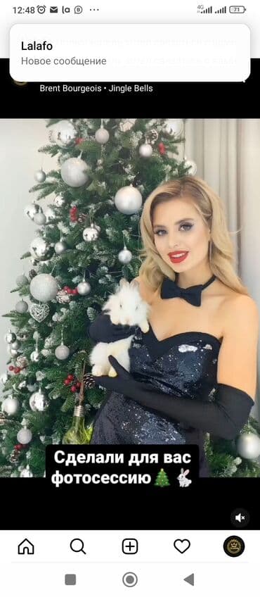 сколько стоит заказать мишку на день рождения: Даём кроликов для Фото и видеосъёмки Бишкек. Услуга 1500 сом в — 1