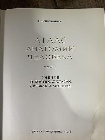 анатомия руля: Атлас анатомии человека, Р. Д. Синельников — тома I и III. - — 3