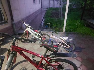 Детские велосипеды: Горный велосипед, Forward, Рама XS (130 -155 см), Б/у — 1