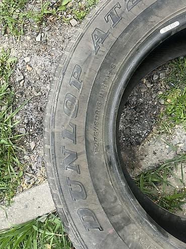 Шины 275 / 60 / R 18, Всесезонная, Внедорожные (АТ/МТ), Dunlop
