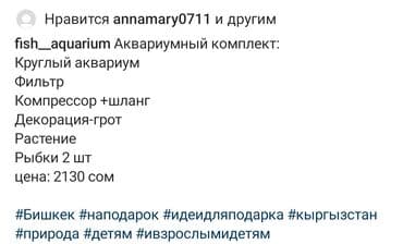 живые черепахи: Аквариумный комплект Круглый аквариум 3 литра Фильтр Компрессор +шланг — 2