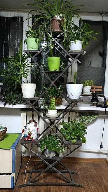 Полка, этажерка для цветов, Железо