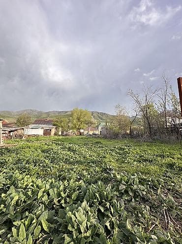 город: 7 соток, Для бизнеса, Красная книга, Тех паспорт, Договор купли-продажи — 4