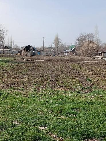 Земельные участки: 41 соток, Для бизнеса, Договор купли-продажи — 2