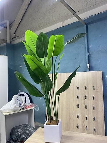 Столдор: Кеңсе эмереги комплекти, ДСП, түсү - Ак — 4