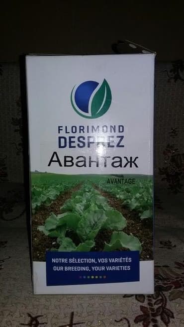 сейф бизнес маркетинг: Семена кормовых растений: Люцерна — 9