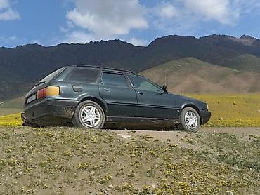 радиатор охлаждения ауди а6с5: Audi 80: 1992 г., 2.6 л, Механика, Бензин, Универсал — 4