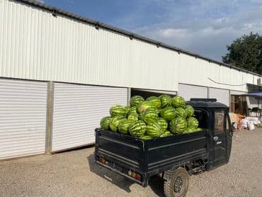 ауди rs7 цена в бишкеке: Легкий грузовик, Стандарт, 2 т, Б/у — 4