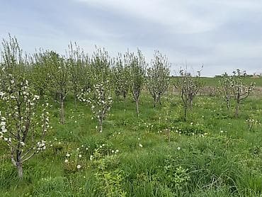 участка сатам: 78 соток, Для бизнеса — 2