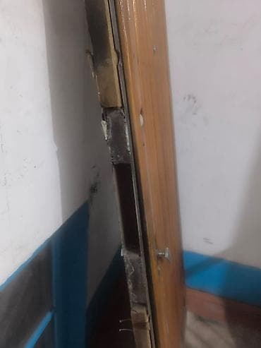 Лакокрасочные материалы: Двери для домов и квартир, Деревянная, Одностворчатая, цвет - Коричневый — 3