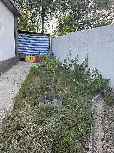 old bishkek: Belovoski center Продаётся одноэтажный дом с участком. Основные — 7
