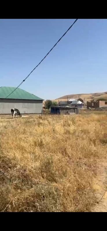 не рабочий телефоны: Фотосъёмка | С выездом | Аэросъемка с дрона — 5