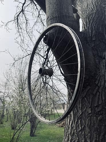 Шоссейные велосипеды: Велосипедное переднее колесо (обод с втулкой и спицами) - Размер — 1