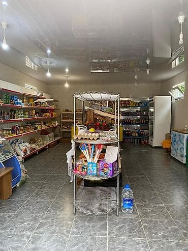 875: Продается дом + бизнес (продуктовый магазин) в ж/м "Кок-Жар" — 6