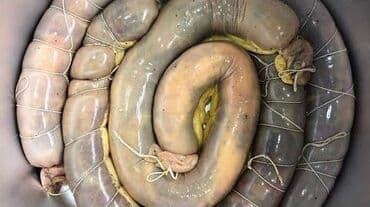 жибек жолу фучика: Казы-карта|чучук! — 2