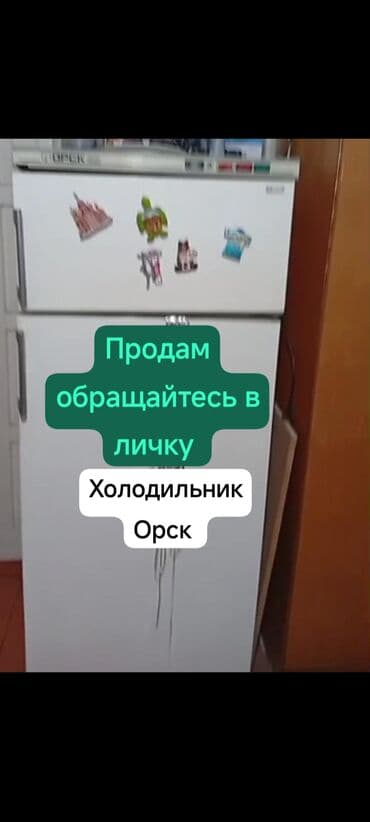 холодильник для мясо: Холодильник Orsk, Двухкамерный — 1