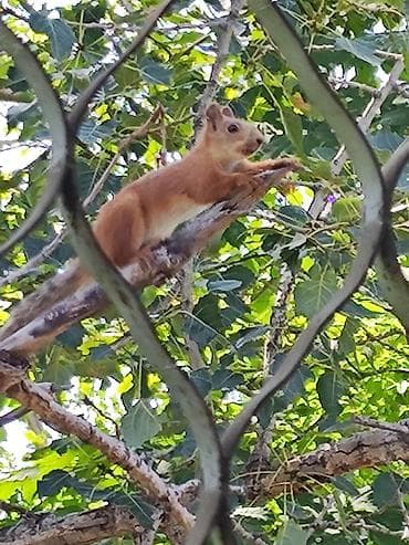 Квартиры: 2 комнаты, 45 м², 104 серия, 4 этаж, Евроремонт — 10