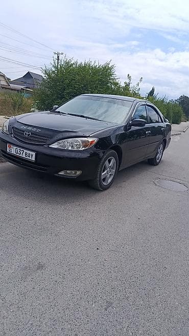 Транспорт: Toyota Camry: 2004 г., 2.4 л, Автомат, Бензин, Седан — 2
