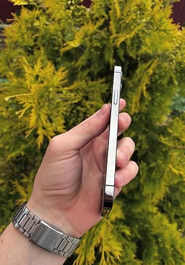 cd disk: IPhone 12 Pro, Б/у, 128 ГБ, Matte Space Gray, Защитное стекло, Чехол, 88 % — 3