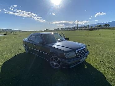 Mercedes-Benz W124: 1994 г., 2.2 л, Механика, Бензин, Седан
