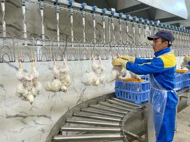 работа охрана гбр: Требуется Упаковщик, Оплата: Дважды в месяц, Без опыта — 3