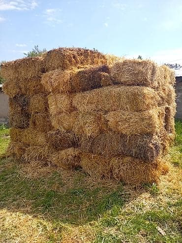 канат верёвка: Арпа саман сатылат 100 сом - Тип: ячмень солома, прессованные — 2