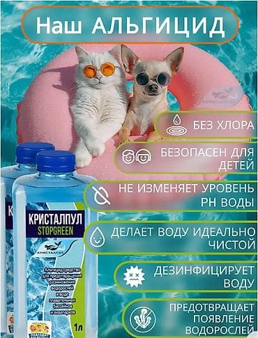 перекись водорода для бассейна: Альгицид без хлора средство против водорослей в бассейне 1л💧🛑🌿 — 2