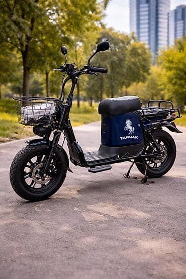 bid e2: Электроскутер «Тайчак» грузовой до 250 кг - Электропривод, бесшумное — 2