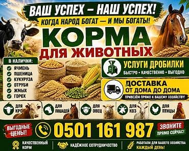 Үй жаныбарлары: Мы находимся селе Сосновка работаем оптом и в розницу!!! рядом дороги — 8
