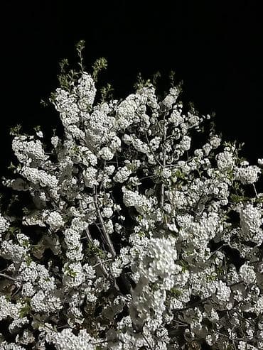 Продается земля для строительство 4соток Г.Кант с Киргшелк Рядом