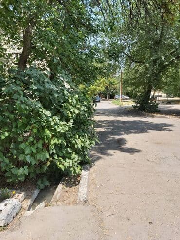 долгосрочные квартиры бишкек: 1 комната, Риэлтор, Без мебели — 16