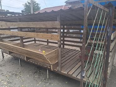 услуги стрижки овец: Продаю | Овца (самка), Ягненок, Баран (самец) | Гиссарская, Полукровка, Долан | На забой, Для разведения, Для шерсти | Племенные, Котные, Кастрированные — 5