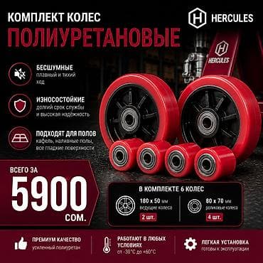Эмерек үчүн дөңгөлөкчөлөр: Эмерек үчүн дөңгөлөкчөлөр, Жаңы, Башка түрү, Акылуу жеткирүү, Өзү алып кетүү — 1