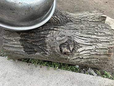 фруктовые дрова: Дрова — 1