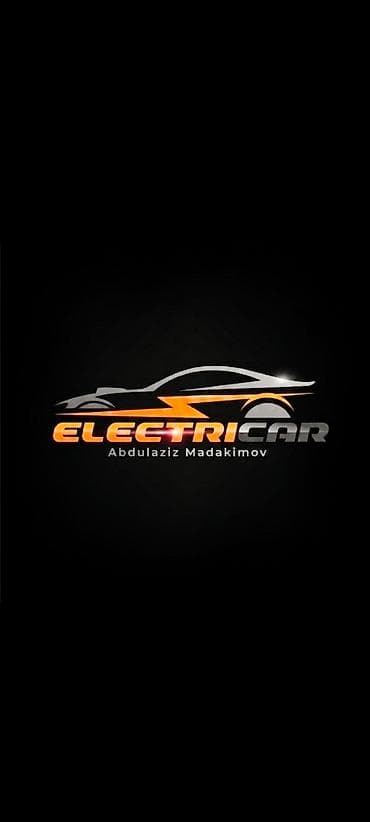 зарядник для аккумуляторов: ELECTRICAR — услуга по работе с электромобилями. - Специализация — 1