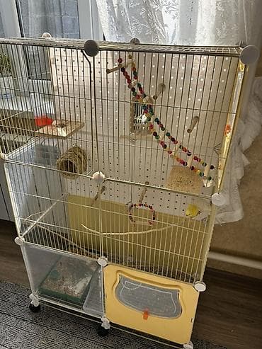 клетка бу: Продаются два волнистых попугая вместе с большой напольной клеткой — 2