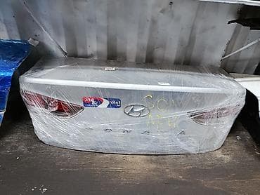 капот sonata: Hyundai — 10