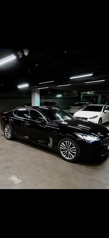 byd plus: Kia Stinger: 2019 г., 2 л, Автомат, Бензин, Лифтбек — 3
