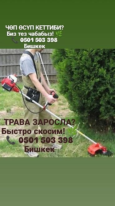 пилорама кочмо: Аймактарды жыйнап тазалоо, Газон чабуу — 1