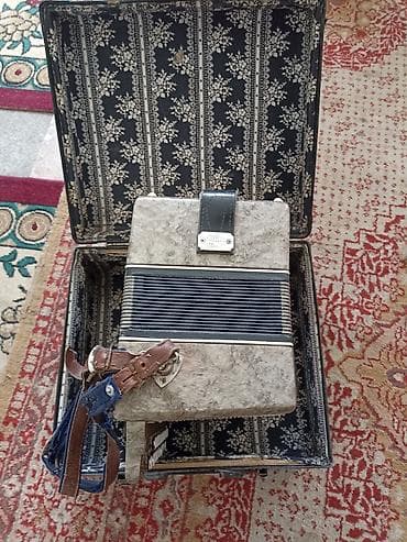 ля бубу: Баян с кейсом - Кнопочный баян в комплекте с жёстким кофром. - Корпус — 5