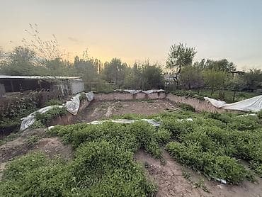 горная серафимовка: 4800 соток, Для строительства, Красная книга — 6