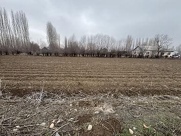 чалдовар продажа домов: 20 соток, Для строительства, Красная книга — 10