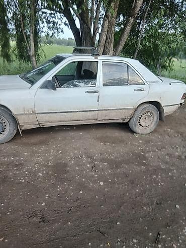 1990: Mercedes-Benz 190: 1990 г., 2 л, Механика, Дизель — 1