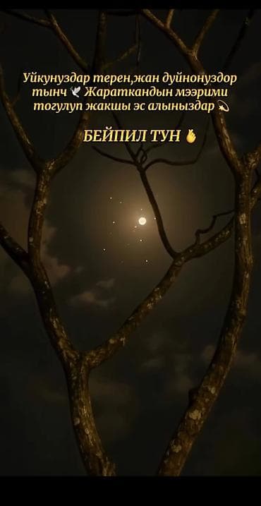 Аренда домов: Саламатсыздарбы чогуу жашаганга бир кыз керек восток 5 те менин — 3