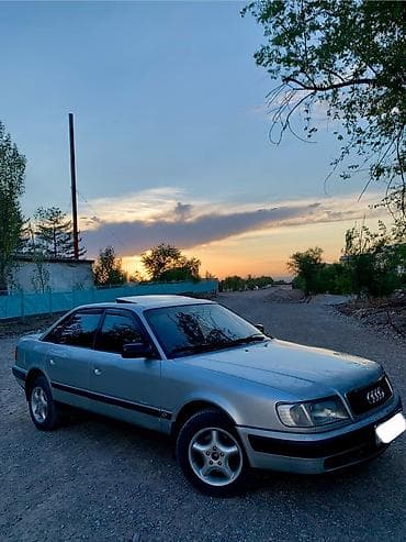 Audi 100: 1991 г., 2 л, Механика, Газ, Седан