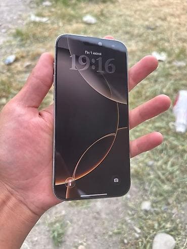 s pen: IPhone 16 Pro Max, Б/у, 256 ГБ, Серебристый, Коробка, 92 % — 2