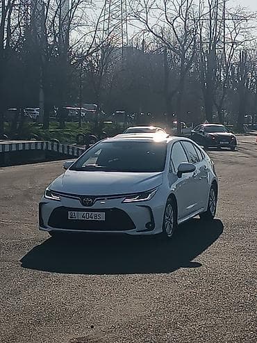 онлайн автошколы: Курсы вождения | (B) | Автошкола — 3